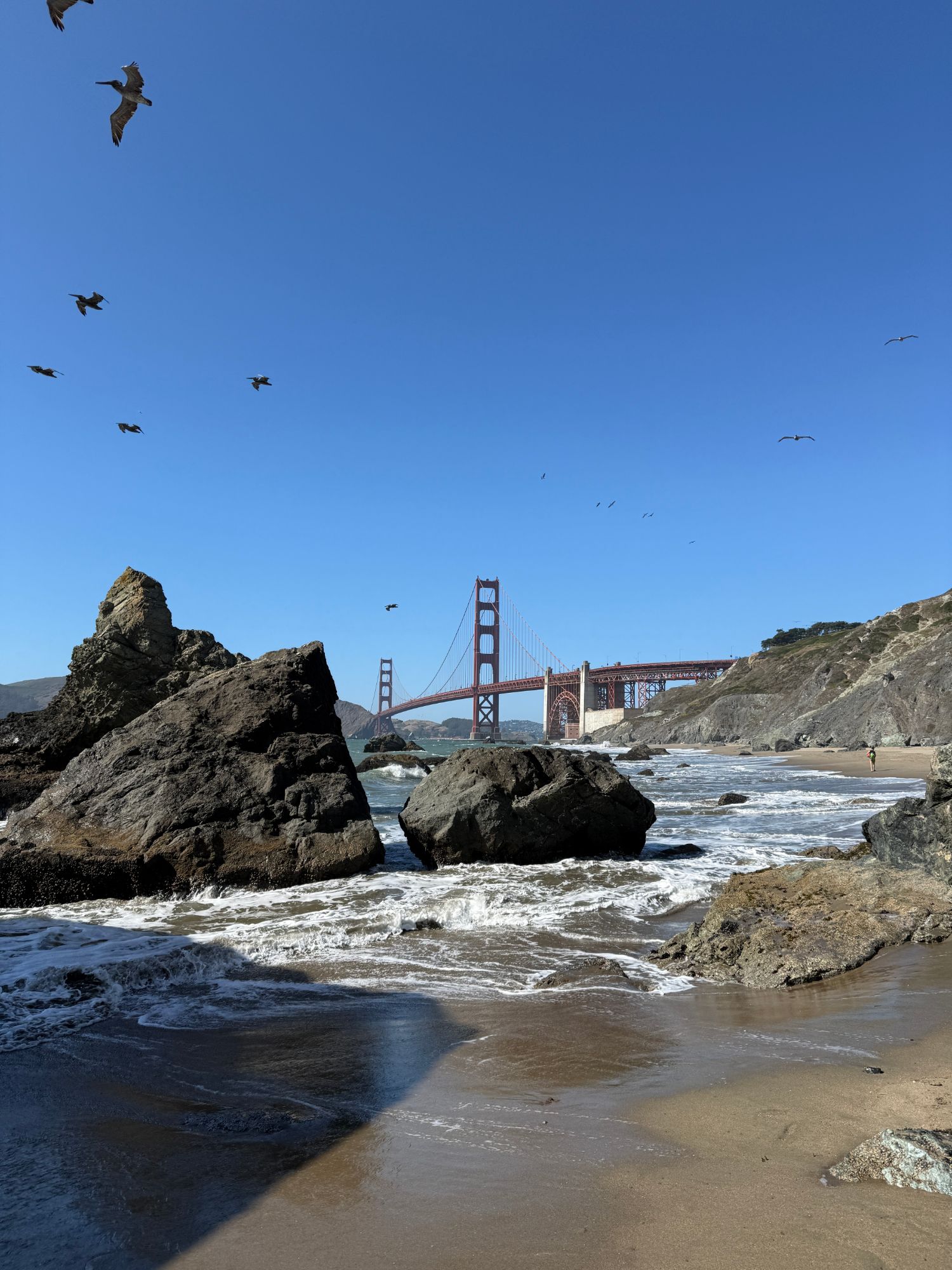 The Golden Gate Bridge from the rocks of Marshall's Beach, with pelicans overhead